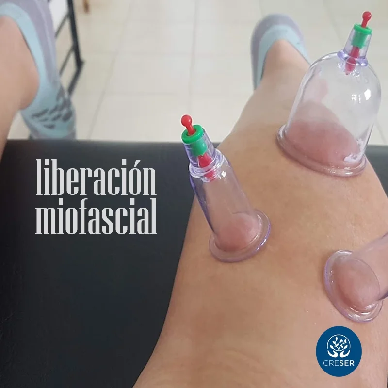 Kinesiologia y Fisioterapia